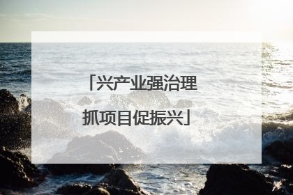 兴产业强治理 抓项目促振兴
