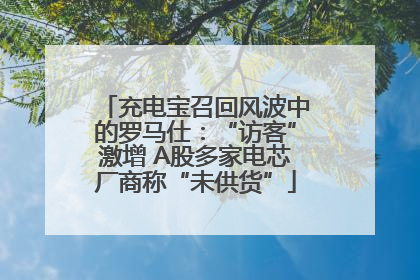 充电宝召回风波中的罗马仕：“访客”激增 A股多家电芯厂商称“未供货”
