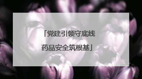 党建引领守底线 药品安全筑根基