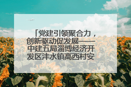 党建引领聚合力，创新驱动促发展——中建五局淄博经济开发区沣水镇高西村安置项目建设纪实