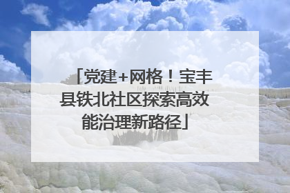 党建+网格！宝丰县铁北社区探索高效能治理新路径