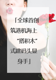 全球首创筑港机海上“搭积木”式建码头显身手