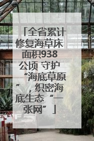 全省累计修复海草床面积938公顷 守护“海底草原”，织密海底生态“一张网”