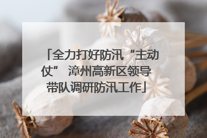 全力打好防汛“主动仗” 漳州高新区领导带队调研防汛工作