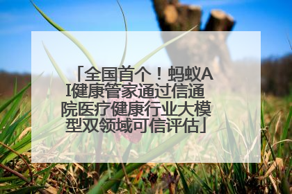 全国首个！蚂蚁AI健康管家通过信通院医疗健康行业大模型双领域可信评估