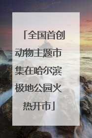 全国首创动物主题市集在哈尔滨极地公园火热开市