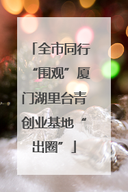 全市同行“围观”厦门湖里台青创业基地“出圈”