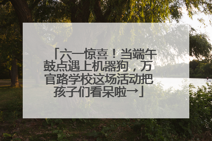 六一惊喜！当端午鼓点遇上机器狗，万官路学校这场活动把孩子们看呆啦→