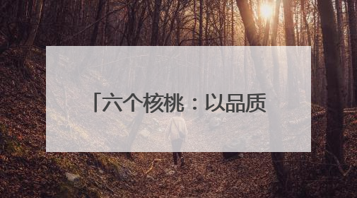 六个核桃：以品质筑基、创新领航的植物蛋白饮品标杆