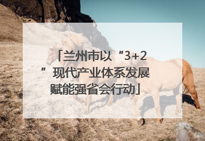 兰州市以“3+2”现代产业体系发展赋能强省会行动