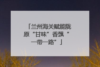 兰州海关赋能陇原“甘味”香飘“一带一路”