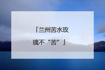 兰州苦水玫瑰不“苦”