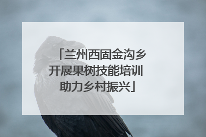 兰州西固金沟乡开展果树技能培训 助力乡村振兴