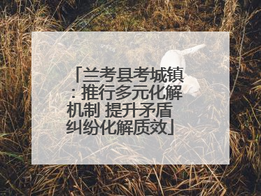 兰考县考城镇：推行多元化解机制 提升矛盾纠纷化解质效