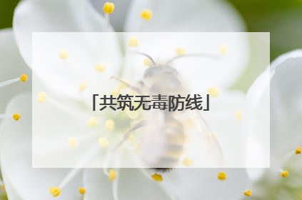 共筑无毒防线