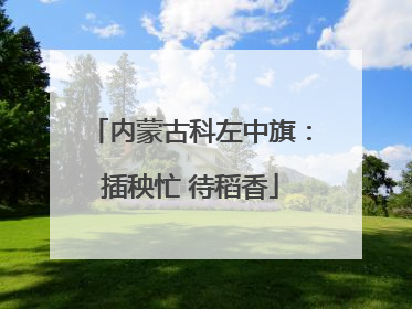 内蒙古科左中旗：插秧忙 待稻香