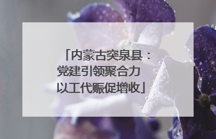 内蒙古突泉县：党建引领聚合力 以工代赈促增收