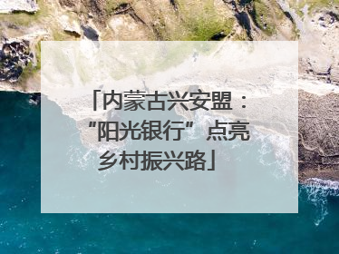 内蒙古兴安盟：“阳光银行”点亮乡村振兴路