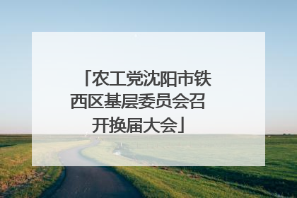 农工党沈阳市铁西区基层委员会召开换届大会