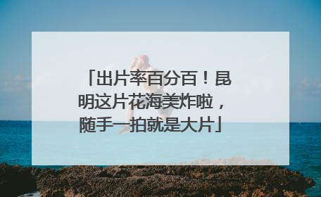 出片率百分百！昆明这片花海美炸啦，随手一拍就是大片