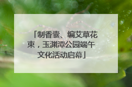 制香囊、编艾草花束，玉渊潭公园端午文化活动启幕