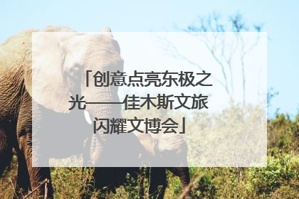 创意点亮东极之光——佳木斯文旅闪耀文博会