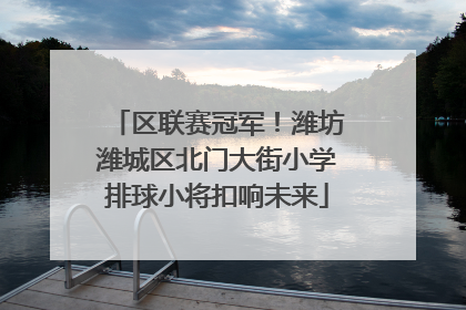 区联赛冠军！潍坊潍城区北门大街小学排球小将扣响未来