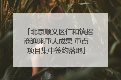 北京顺义区仁和镇招商迎来重大成果 重点项目集中签约落地