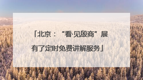北京：“看·见殷商”展有了定时免费讲解服务