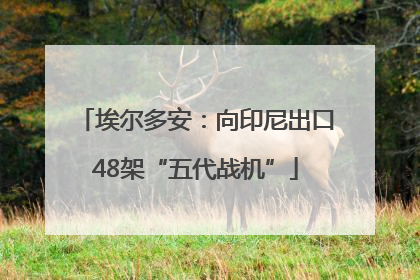 埃尔多安：向印尼出口48架“五代战机”