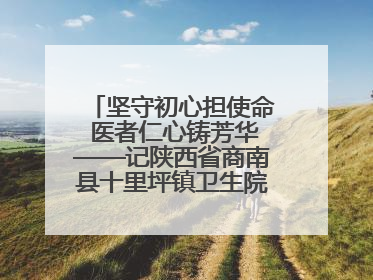 坚守初心担使命 医者仁心铸芳华——记陕西省商南县十里坪镇卫生院副院长贾胡委