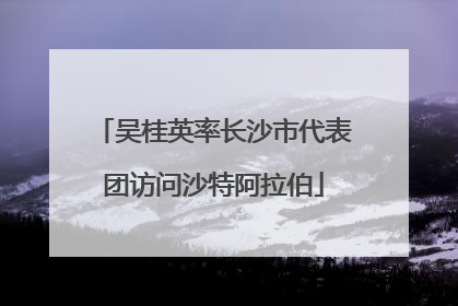 吴桂英率长沙市代表团访问沙特阿拉伯