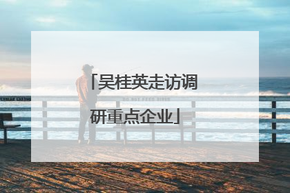 吴桂英走访调研重点企业