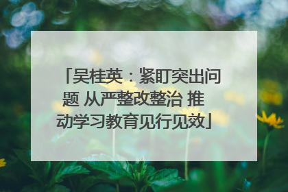 吴桂英：紧盯突出问题 从严整改整治 推动学习教育见行见效