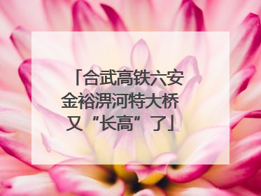 合武高铁六安金裕淠河特大桥又“长高”了