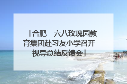 合肥一六八玫瑰园教育集团赴习友小学召开视导总结反馈会