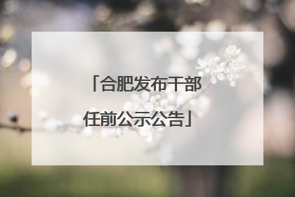 合肥发布干部任前公示公告