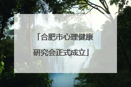 合肥市心理健康研究会正式成立