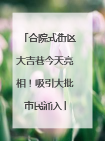 合院式街区大吉巷今天亮相！吸引大批市民涌入