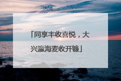 同享丰收喜悦，大兴瀛海麦收开镰