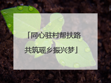 同心驻村帮扶路 共筑瑶乡振兴梦