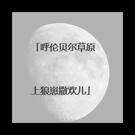 呼伦贝尔草原上狼崽撒欢儿