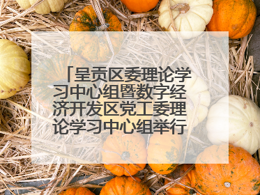 呈贡区委理论学习中心组暨数字经济开发区党工委理论学习中心组举行2025年第七次学习会议