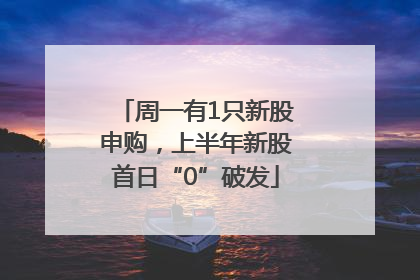 周一有1只新股申购，上半年新股首日“0”破发