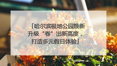 哈尔滨极地公园焕新升级“卷”出新高度，打造多元假日体验