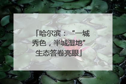 哈尔滨：“一城秀色，半城湿地”生态答卷亮眼