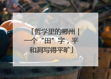 哲学里的郴州｜一个“田”字，平和洞写得平旷