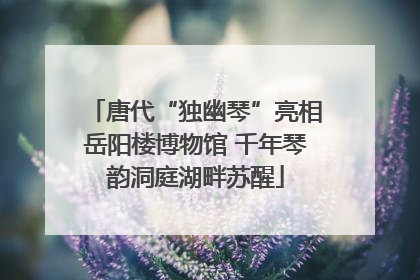 唐代“独幽琴”亮相岳阳楼博物馆 千年琴韵洞庭湖畔苏醒