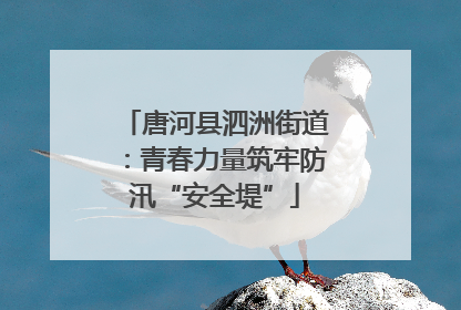 唐河县泗洲街道：青春力量筑牢防汛“安全堤”