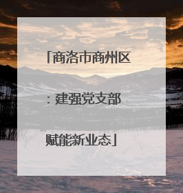 商洛市商州区：建强党支部 赋能新业态